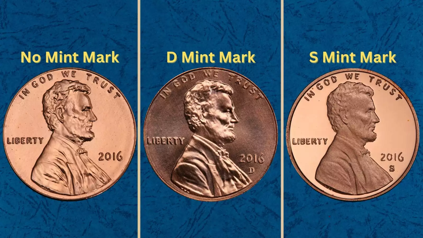 Group of 2016 Lincoln Shield pennies from Philadelphia and Denver mints arranged for collection display